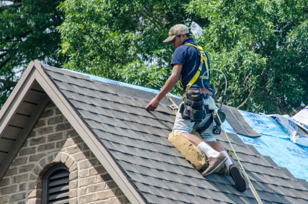 Roof Gutter Cleaning in Elizabeth Lake, CA